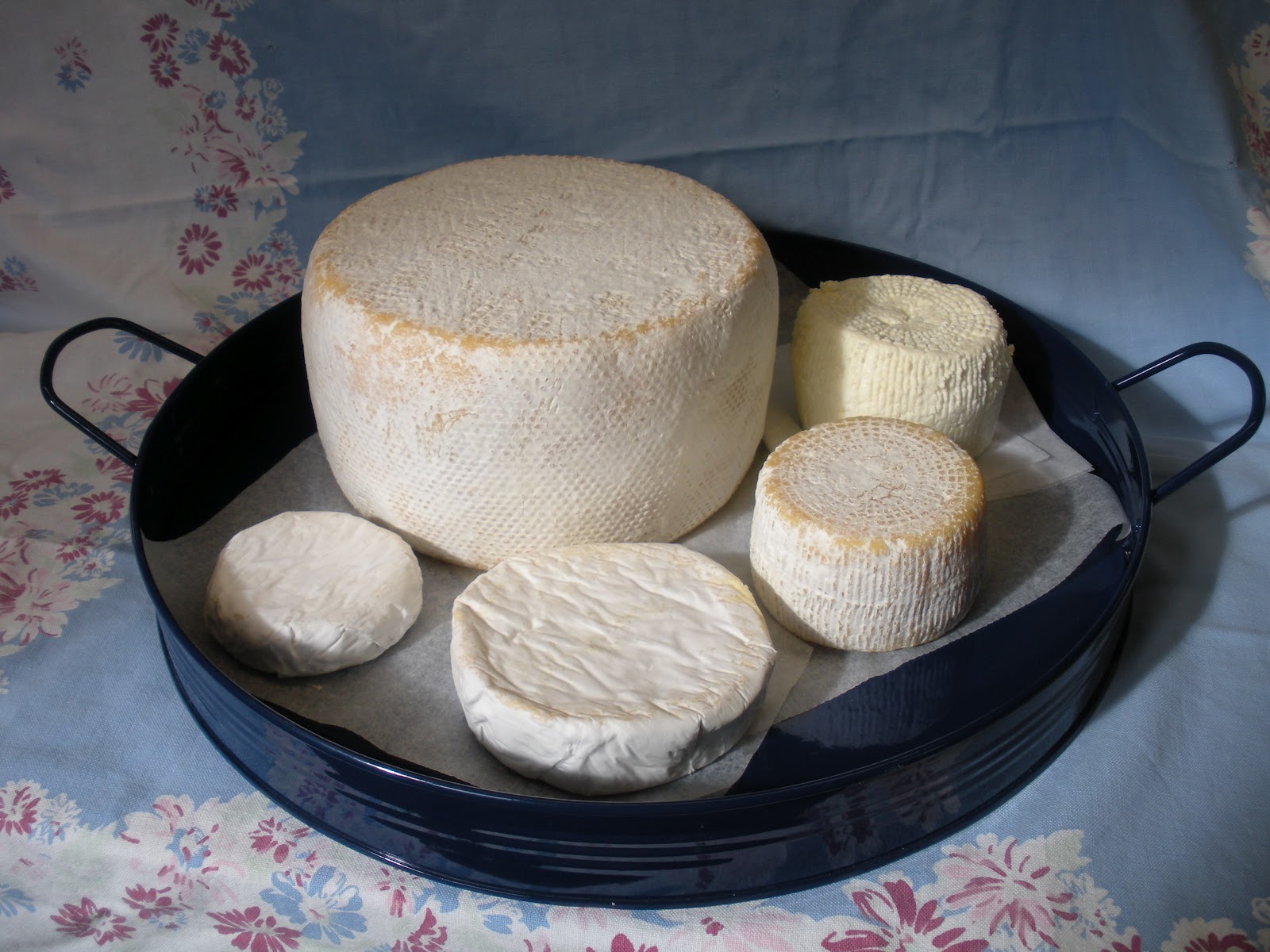 artisanal cheese